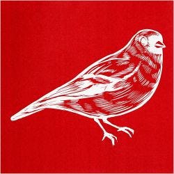 Screen stencil