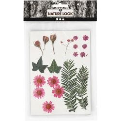 Gedroogde bloemen en bladeren, lichtrood, 1 doos