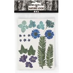 Gedroogde bloemen en bladeren, blauw, 1 doos