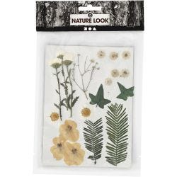 Gedroogde bloemen en bladeren, off-white, 1 doos