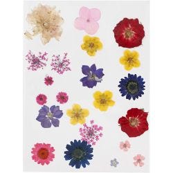 Gedroogde bloemen en bladeren