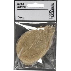 Skeleton leaves , L: 4,5-8 cm, naturel, 20 stuk/ 1 doos