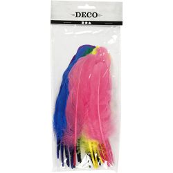 Veren, L: 20 cm, diverse kleuren, 36 stuk/ 1 doos