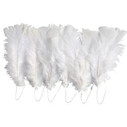 Veren, L: 11-17 cm, wit, 18 bol/ 1 doos