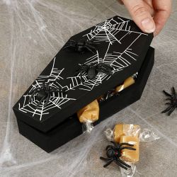 Doodskist met magnetisch slot