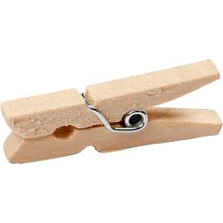 Wasknijpers