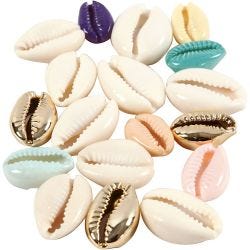 Schelpen