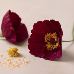 Mini Hobbyset Crêpepapier