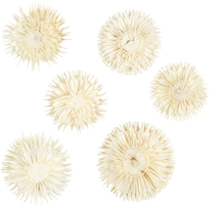 Gedroogde Bloemen, d 3-5 cm, 6 stuk/ 1 doos