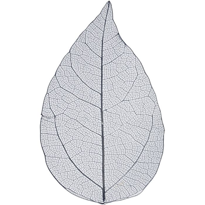 Skeleton leaves , L: 6-8 cm, blauw, 20 stuk/ 1 doos