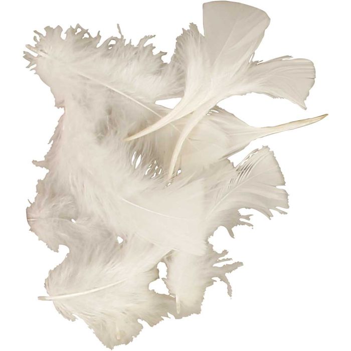 Dons, afm 7-8 cm, ca. 375 stuk, wit, 50 gr/ 1 doos