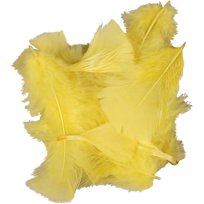 Dons, afm 7-8 cm, ca. 375 stuk, geel, 50 gr/ 1 doos