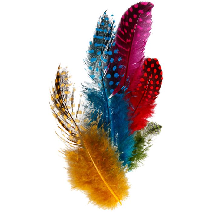 Veren van parelhoen, ca. 100 stuk, diverse kleuren, 3 gr/ 1 doos