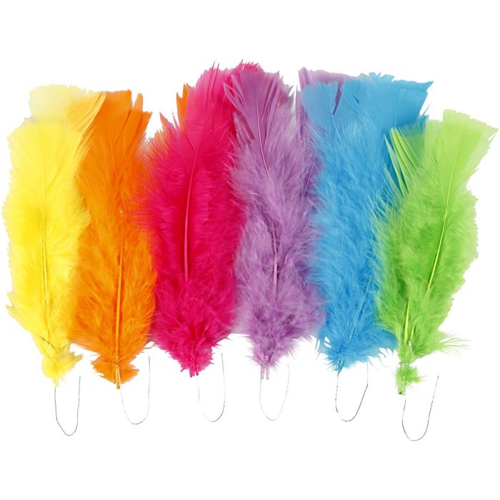 Veren, afm 11-17 cm, diverse kleuren, 18 bol/ 1 doos