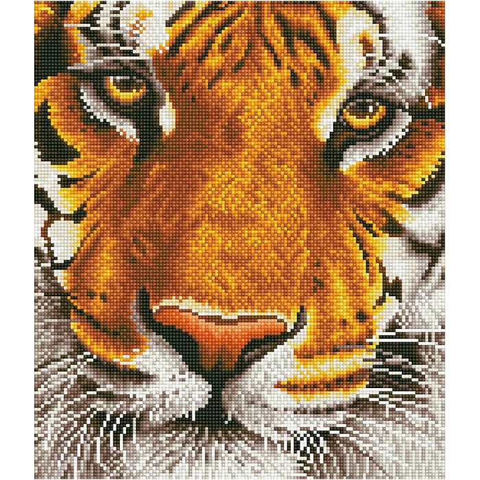 Diamond Dotz, Bengaalse magie, afm 36x42 cm, 1 doos
