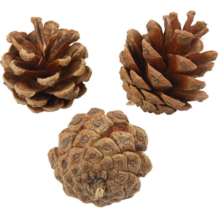 Dennenappels, d 40 mm, 500gr/ 1 doos
