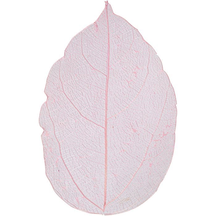 Skeleton leaves , L: 6-8 cm, lichtrood, 20 stuk/ 1 doos