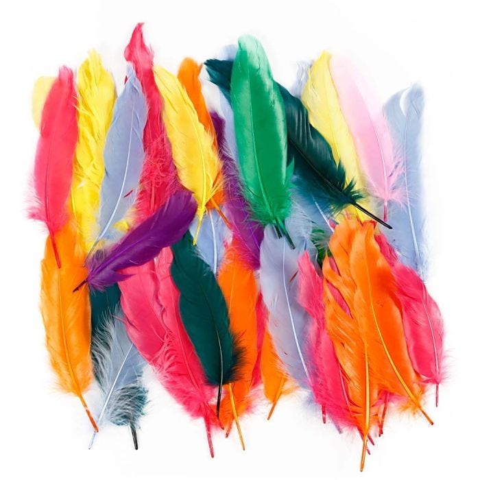 Veren, 12-15 cm, diverse kleuren, 350stuk/ 1 doos