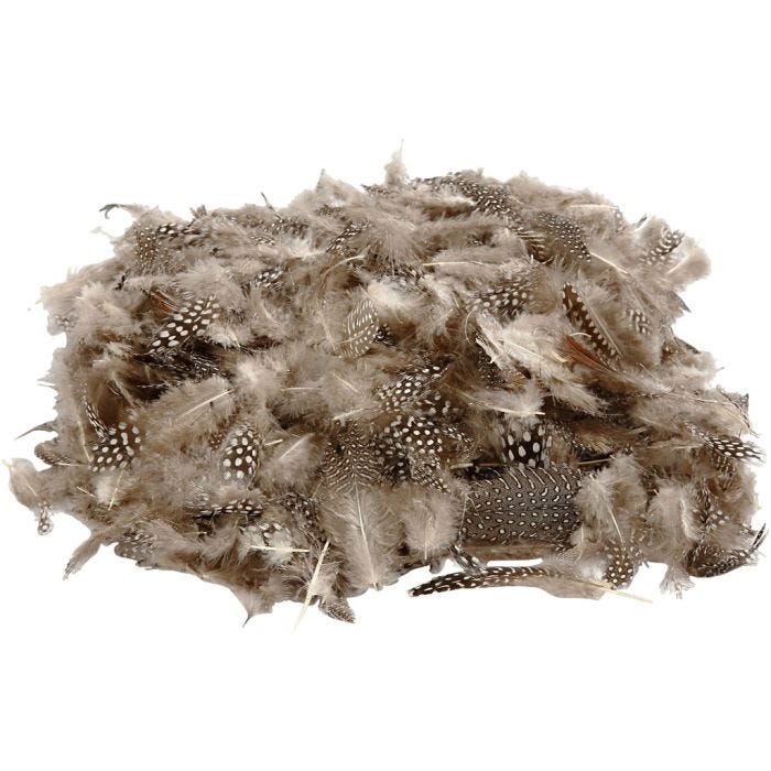 Veren van parelhoen, naturel, 50gr/ 1 doos