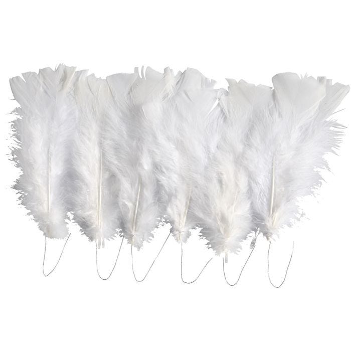 Veren, L: 11-17 cm, wit, 18 bol/ 1 doos