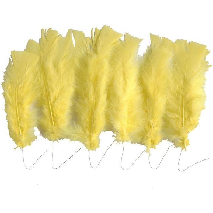 Veren, L: 11-17 cm, geel, 18 bol/ 1 doos