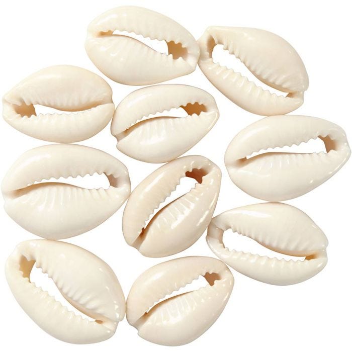 Schelpen, 20 mm, naturel, 12stuk/ 1 doos