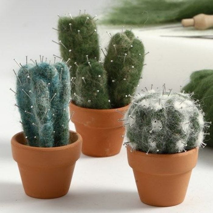 Een genaaldvilte cactus