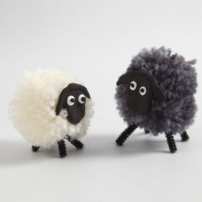 Pom-pom Schaap