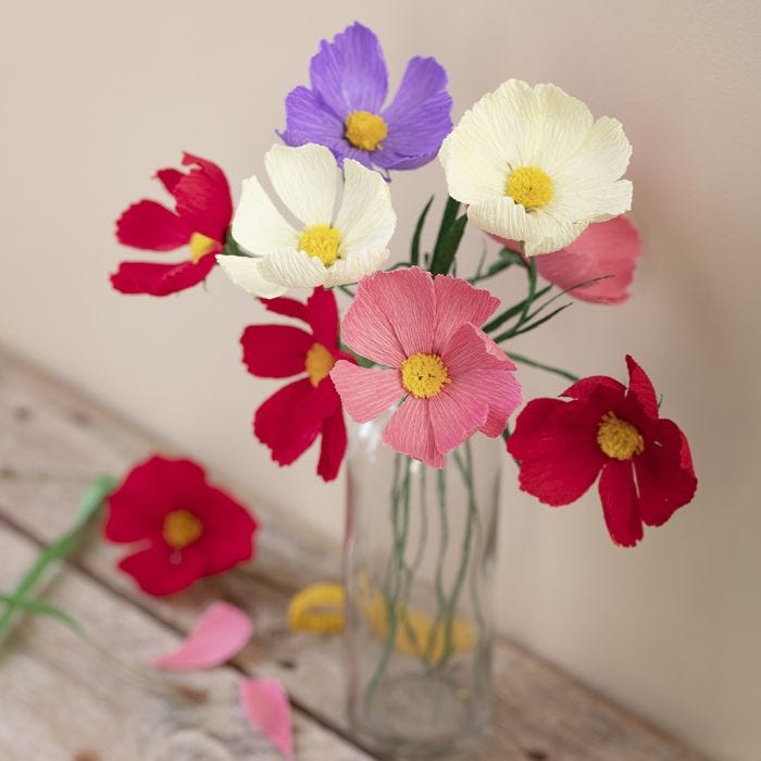 Cosmos (cosmea) bloemen van crêpepapier 