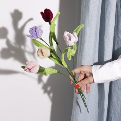 Tulpen van pijpenragers