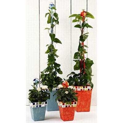 Bloempotten met Plus Color en Mozaiek