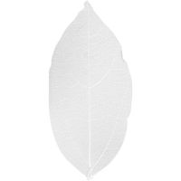 Skeleton leaves , L: 6-8 cm, wit, 20 stuk/ 1 doos