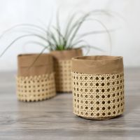 Opbergen van Faux Leather gedecoreerd met rotan