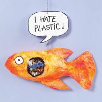 Gipsgaas vis met plastic in zijn buik