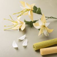 Clematis van crêpepapier