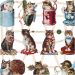 2 vel/ 1 doos, katten, vel 16,5x23,5 cm