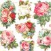 2 vel/ 1 doos, rozen, vel 16,5x23,5 cm