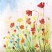 20 stuk/ 1 doos, papaver, afm 33x33 cm