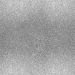 250 ml/ 1 fles, zilver(5110)