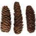 100 gr/ 1 doos, d 40 mm