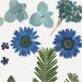 1 doos, blauw