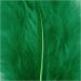 15 stuk/ 1 doos, afm 5-12 cm, groen