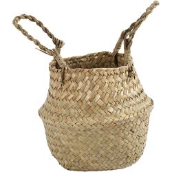 mand van zeegras