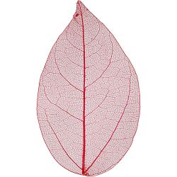 Skeleton leaves 