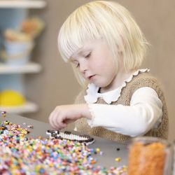 BioBeads van NABBI