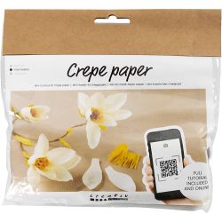Mini Hobbyset Crêpepapier