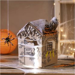 Maxi Hobbyset Decoratie